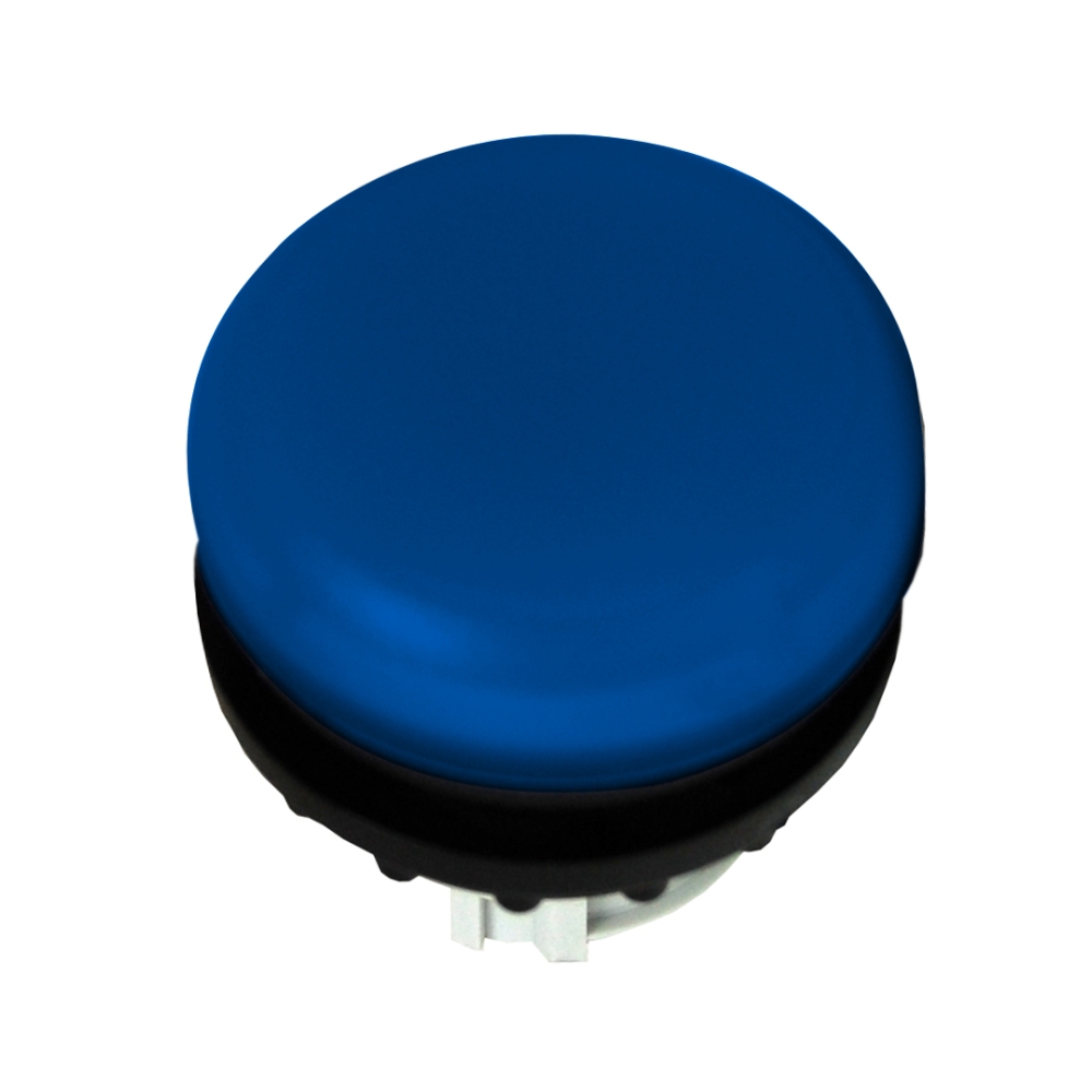 Capac lampa semnalizare scund albastru, Schrack MM216775--