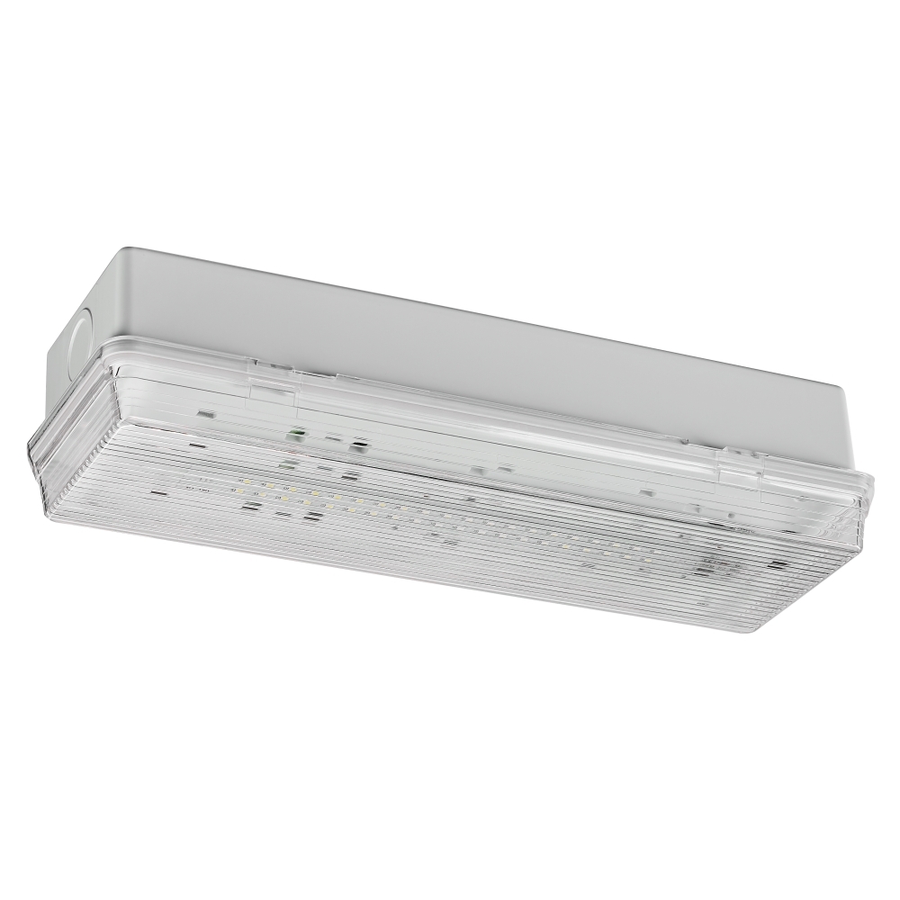Corp de iluminat de securitate SECURO 24 CON C1 HP-LED 24VDC, NCC1CDW24-, Schrack