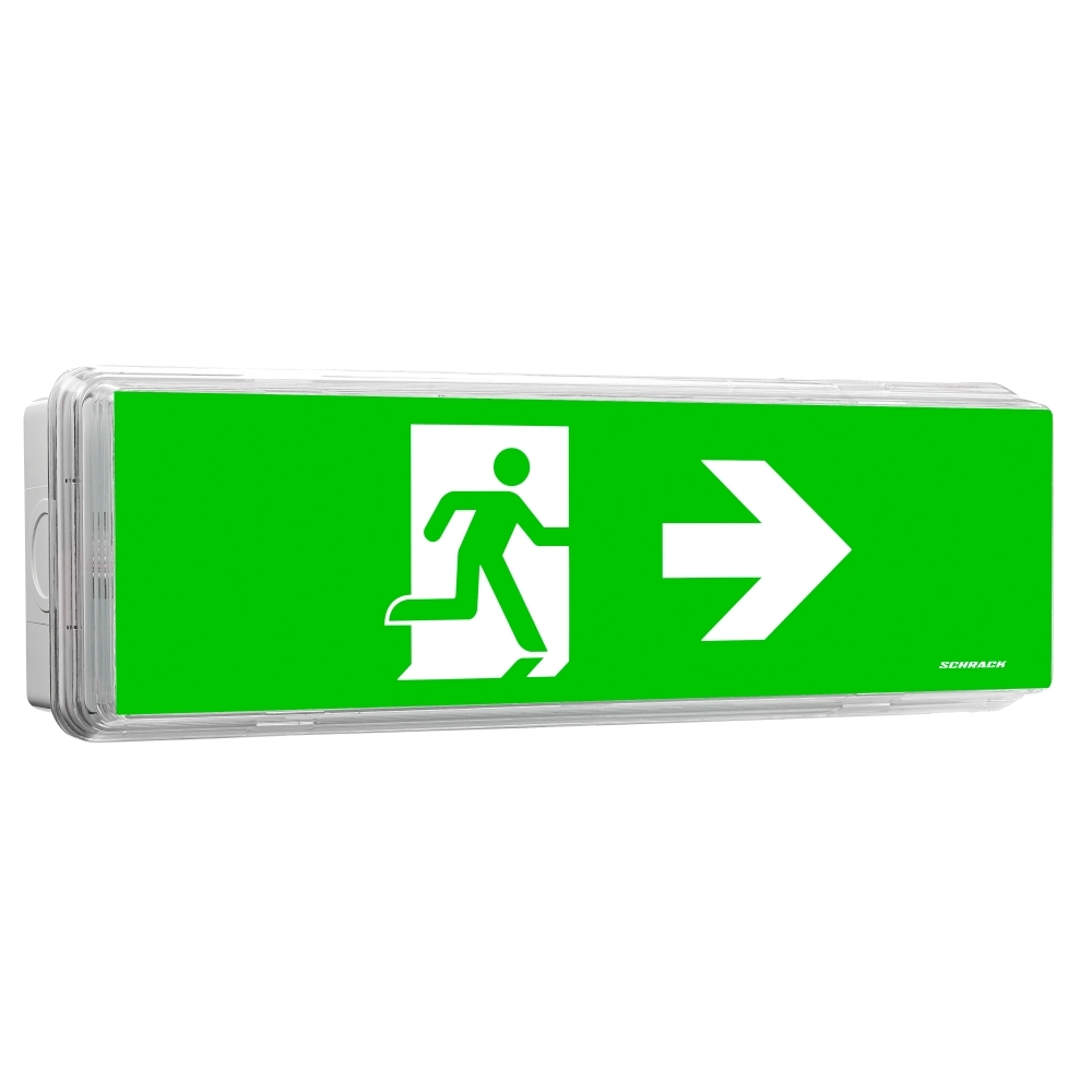 Corp de iluminat de securitate SECURO 24 PRO C1 LED 24V DC, NCC1SUW04C, Schrack