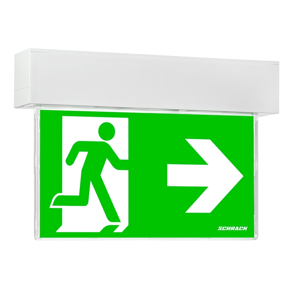 Corp iluminat de securitate SECURO24 PRO R1 LED 24VDC VD=24m, NCR1MUW04C, Schrack