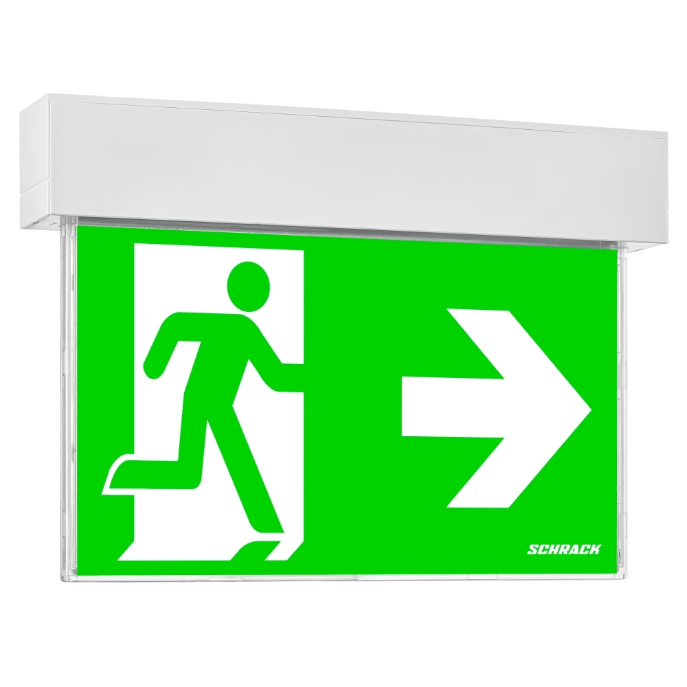 Corp iluminat securitate SECURO 24 PRO R1 LED 24V DC, VD=30m, NCR1XUW04C, Schrack