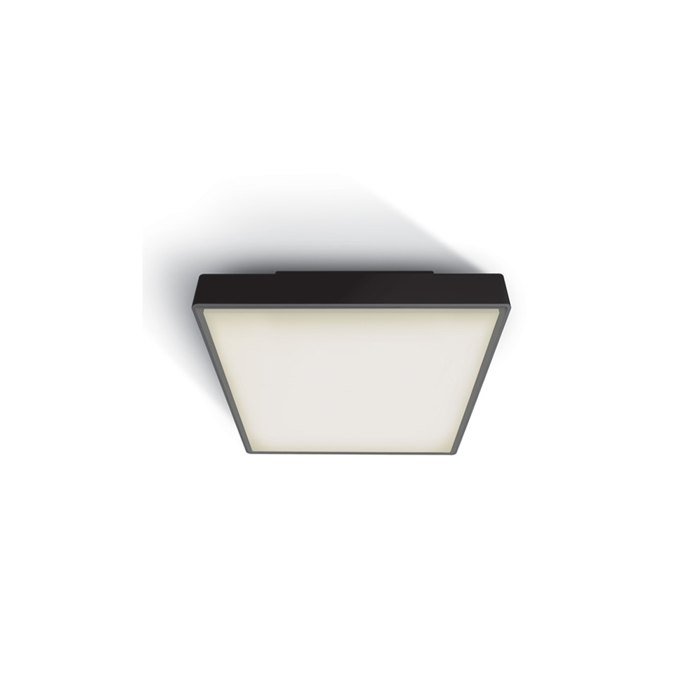 Plafoniera Plasto I, 12W, 100-240V, IP65, negru, LID15108--, Schrack